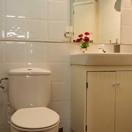 Apartamento Felisa Center *